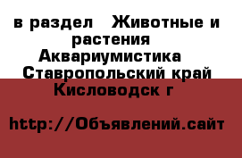  в раздел : Животные и растения » Аквариумистика . Ставропольский край,Кисловодск г.